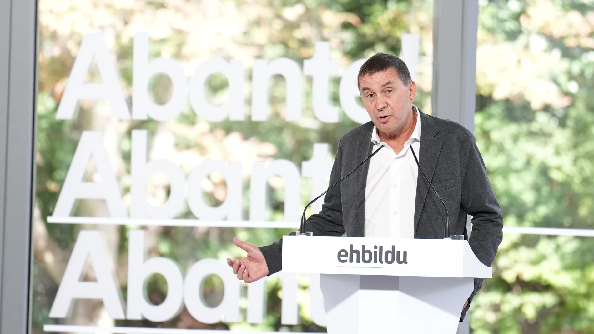 El coordinador general de EH Bildu, Arnaldo Otegi,