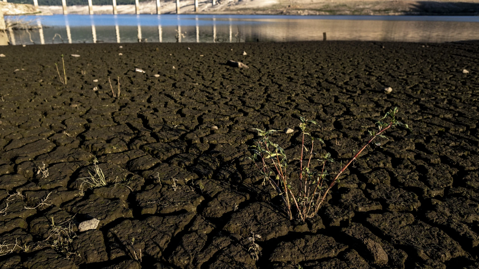 La tierra cuarteada que presenta el embalse de Lindoso, en Lobios, Orense, por la sequía que golpea al país