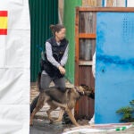 Agentes de la Guardia Civil se preparan con los perros para inspeccionar las propiedades de un empresario de Villacarrillo (Jaén). EFE/José Manuel Pedrosa