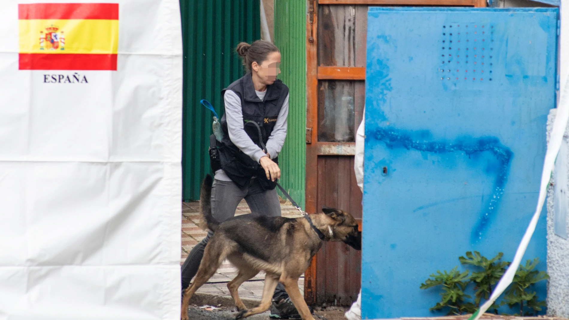 Agentes de la Guardia Civil se preparan con los perros para inspeccionar las propiedades de un empresario de Villacarrillo (Jaén). EFE/José Manuel Pedrosa