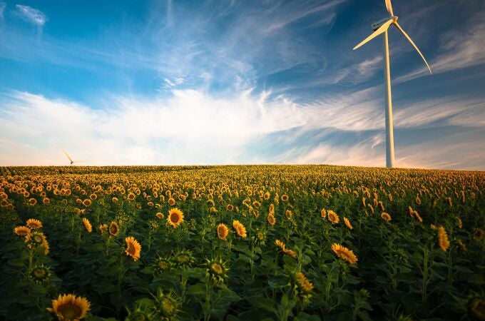 La energía eólica es la primera fuente de generación de España