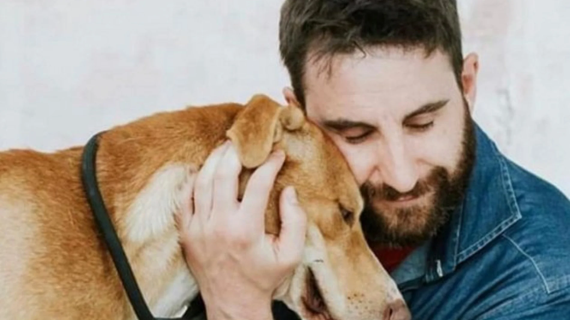 Dani Rovira, en una imagen de archivo con un perro / Instagram