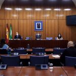 Primera reunión de trabajo de la comisión parlamentaria para la recuperación de la comunidad tras la pandemia
