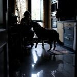 Una mujer permanece confinada en su vivienda con su perro
