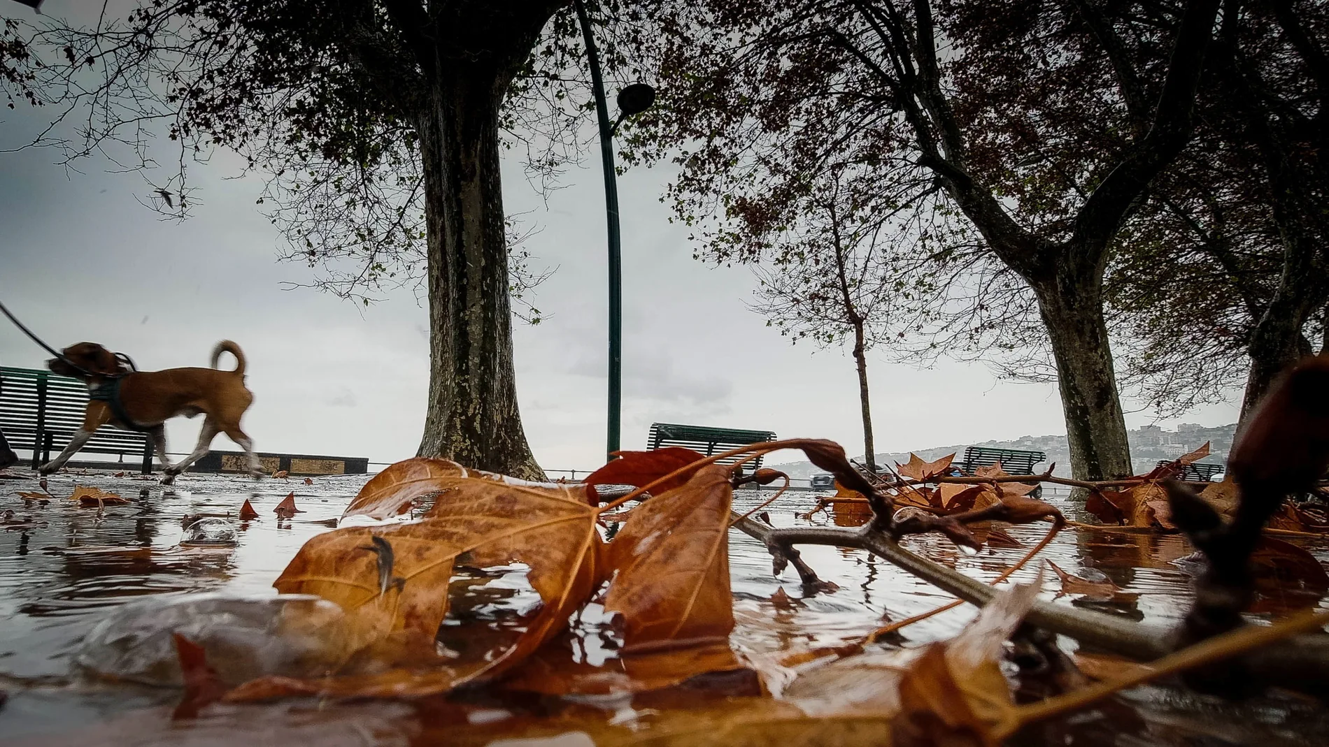 En Galicia seguirá lloviendo con la entrada de un nuevo frente