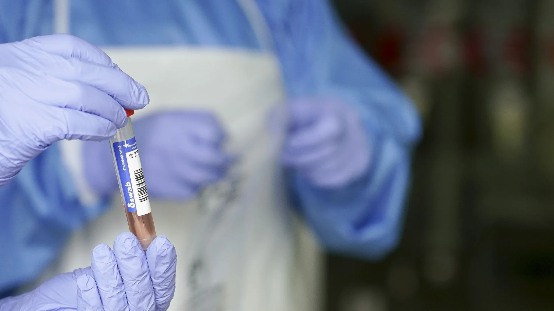 En la imagen se muestra una prueba PCR de detección del coronavirus