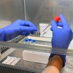 Un sanitario opera con elementos relacionados con las pruebas para la detección de la Covid-19