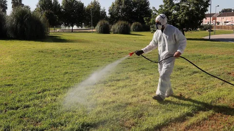 Las tareas de fumigación ligadas al virus del Nilo continúan en la región