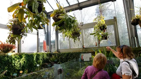 El Real Jardín Botánico cumple 265 años de investigación y divulgación