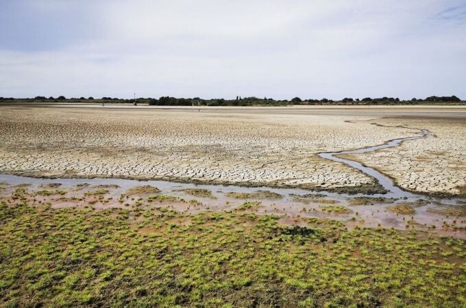 La laguna de Santa Olalla, la laguna permanente más grande de Doñana y la última que ha mantenido agua en agosto, ha terminado por secarse completamente, lo que se ha debido a un periodo de sequía intenso y la sobreexplotación del acuífero por el complejo turístico onubense de Matalascañas, lo que ha agravado la situación en Doñana. EFE/Banco de imágenes de la EBD/CSIC - SOLO USO EDITORIAL/SOLO DISPONIBLE PARA ILUSTRAR LA NOTICIA QUE ACOMPAÑA (CRÉDITO OBLIGATORIO) -