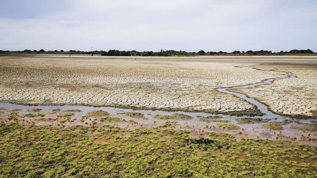 La laguna de Santa Olalla, la laguna permanente más grande de Doñana y la última que ha mantenido agua en agosto, ha terminado por secarse completamente, lo que se ha debido a un periodo de sequía intenso y la sobreexplotación del acuífero por el complejo turístico onubense de Matalascañas, lo que ha agravado la situación en Doñana. EFE/Banco de imágenes de la EBD/CSIC - SOLO USO EDITORIAL/SOLO DISPONIBLE PARA ILUSTRAR LA NOTICIA QUE ACOMPAÑA (CRÉDITO OBLIGATORIO) -