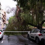 Las lluvias generadas por la cercanía de la tormenta tropical 'Hermine' a Canarias ha ocasionado un centenar de incidencias en Canarias