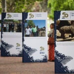 El Zoo de Madrid celebra su 50 aniversario con una exposición histórica de fotografía, en colaboración con la agencia EFE, “50 años de conservación”