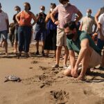 El presidente de la Junta, Juanma Moreno, ha participado hoy en una suelta de tortugas boba en el municipio malagueño de Fuengirola