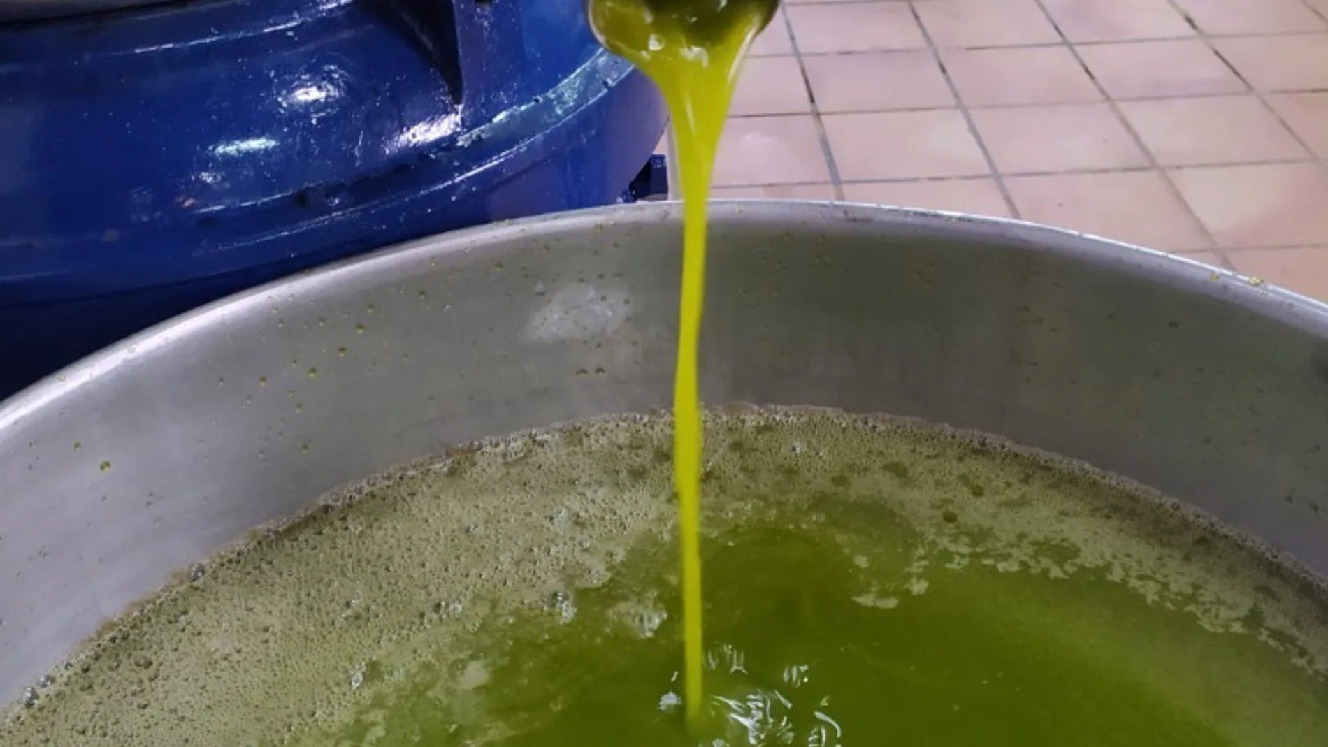 Aceite de oliva virgen extra fluyendo en una almazara cordobesa