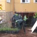 Dos detenidos y desmantelado un cultivo ilegal de marihuana en un chalé de Villaviciosa de Odón
