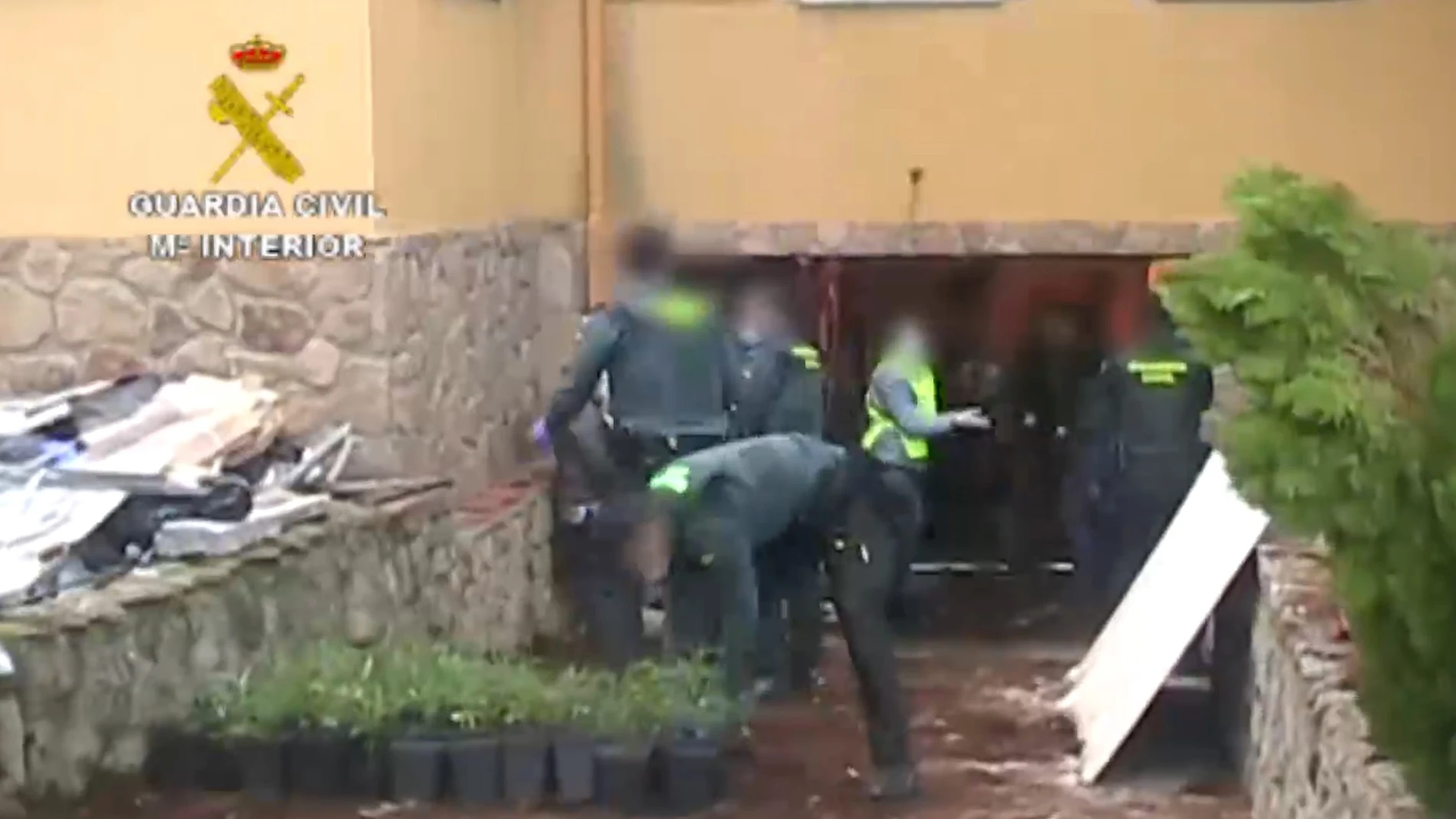 Dos detenidos y desmantelado un cultivo ilegal de marihuana en un chalé de Villaviciosa de Odón
