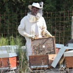 El apicultor Miguel González García junto a algunas de sus colmenas instaladas en Celada de Robledecedo (Palencia)
