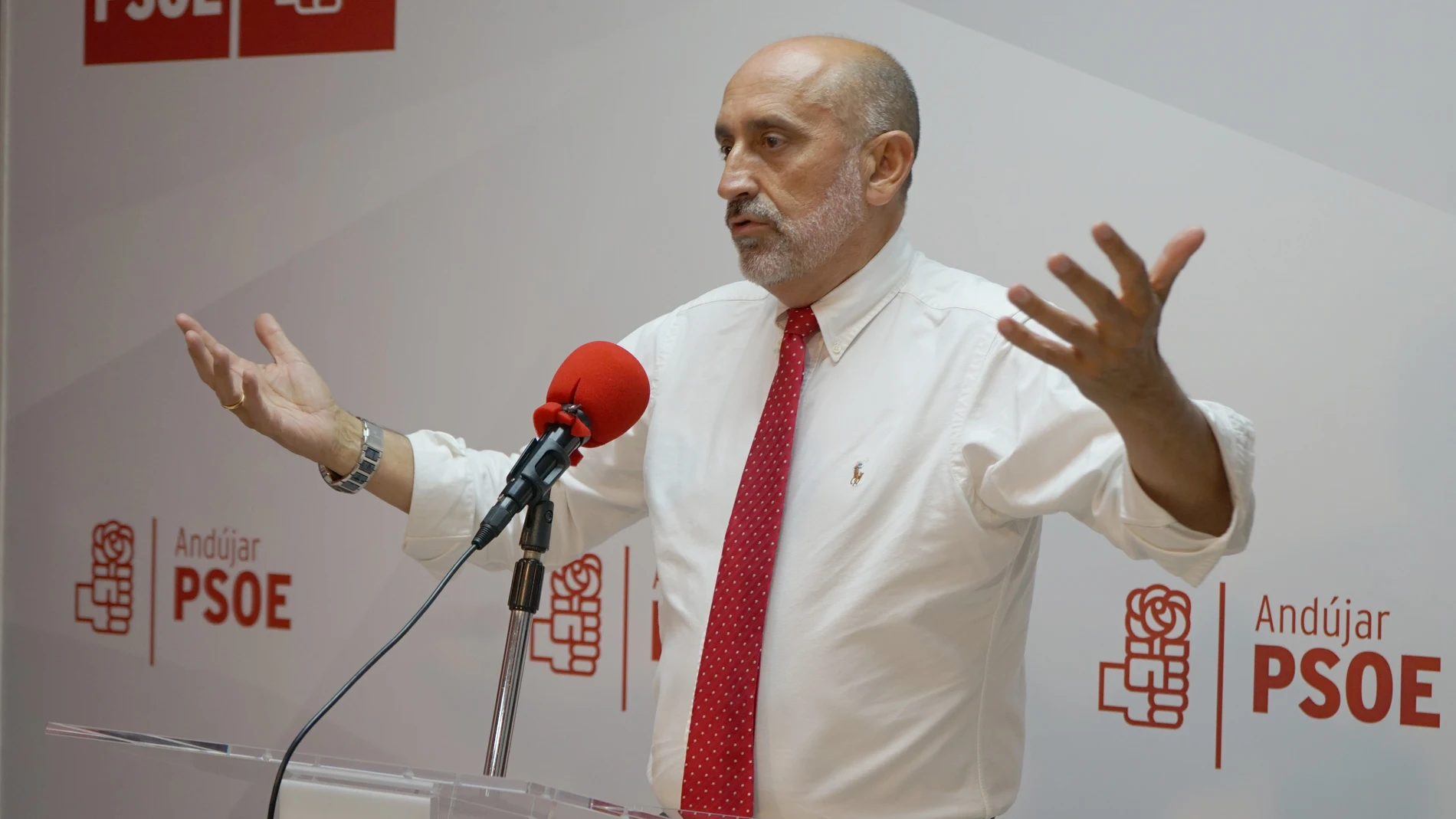 El precandidato a la Junta en las primarias del PSOE andaluz Luis Ángel Hierro