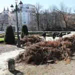 El parque del Retiro, en Madrid, permanece cerrado salvo dos accesos