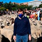 El alcalde de Madrid, José Luis Martínez-Almeida, durante la fiesta de la trashumancia donde mil ovejas merinas y cien cabras del rebaño del Consejo de la Mesta han recorrido las calles de la ciudad