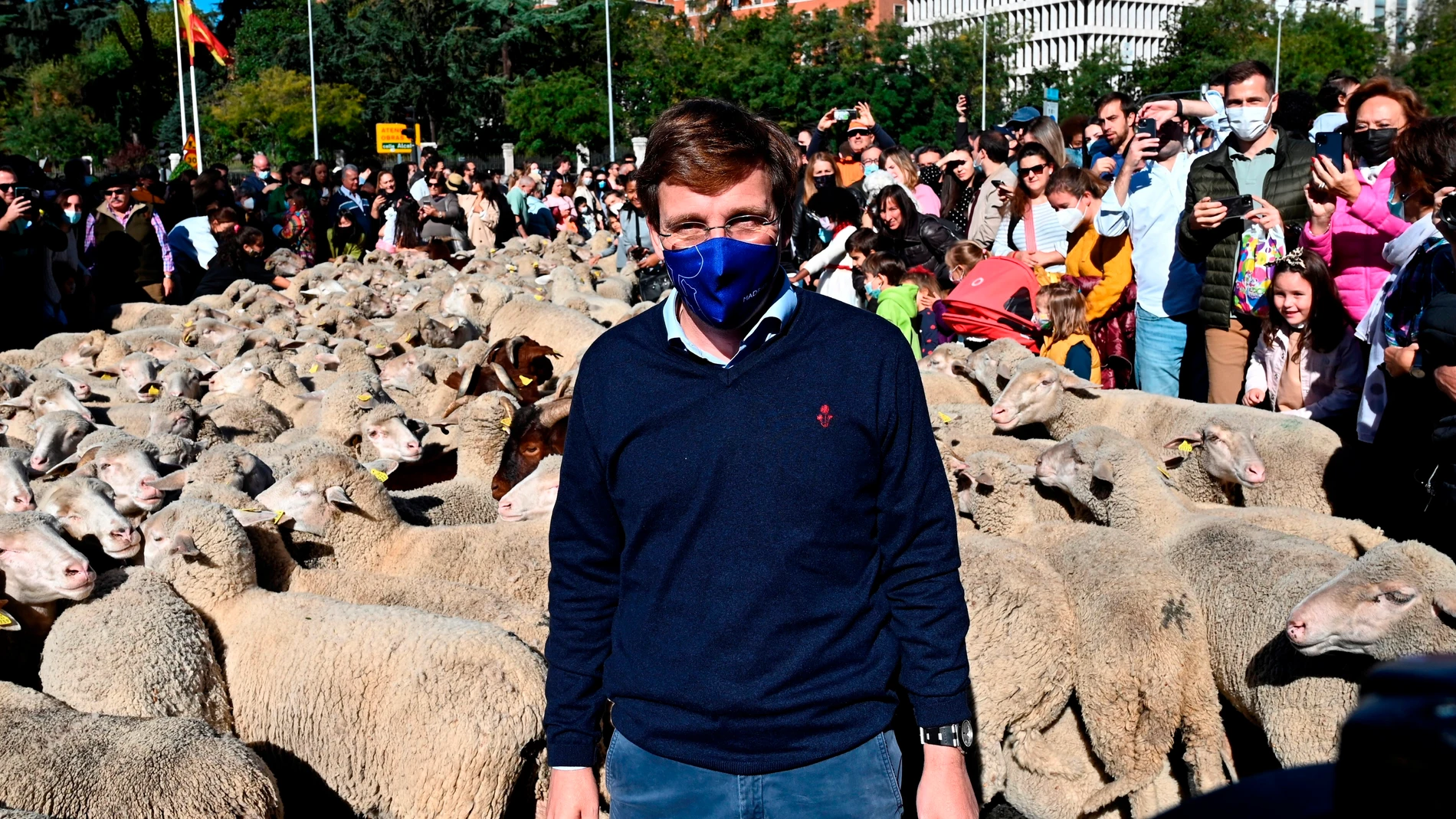 El alcalde de Madrid, José Luis Martínez-Almeida, durante la fiesta de la trashumancia donde mil ovejas merinas y cien cabras del rebaño del Consejo de la Mesta han recorrido las calles de la ciudad