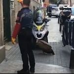 Agentes de la Policía Municipal rescatan un buitre en Malasaña