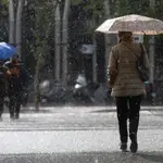 Una mujer bajo la lluvia con su paraguas cruza un paso de peatones en la Castellana de Madrid.