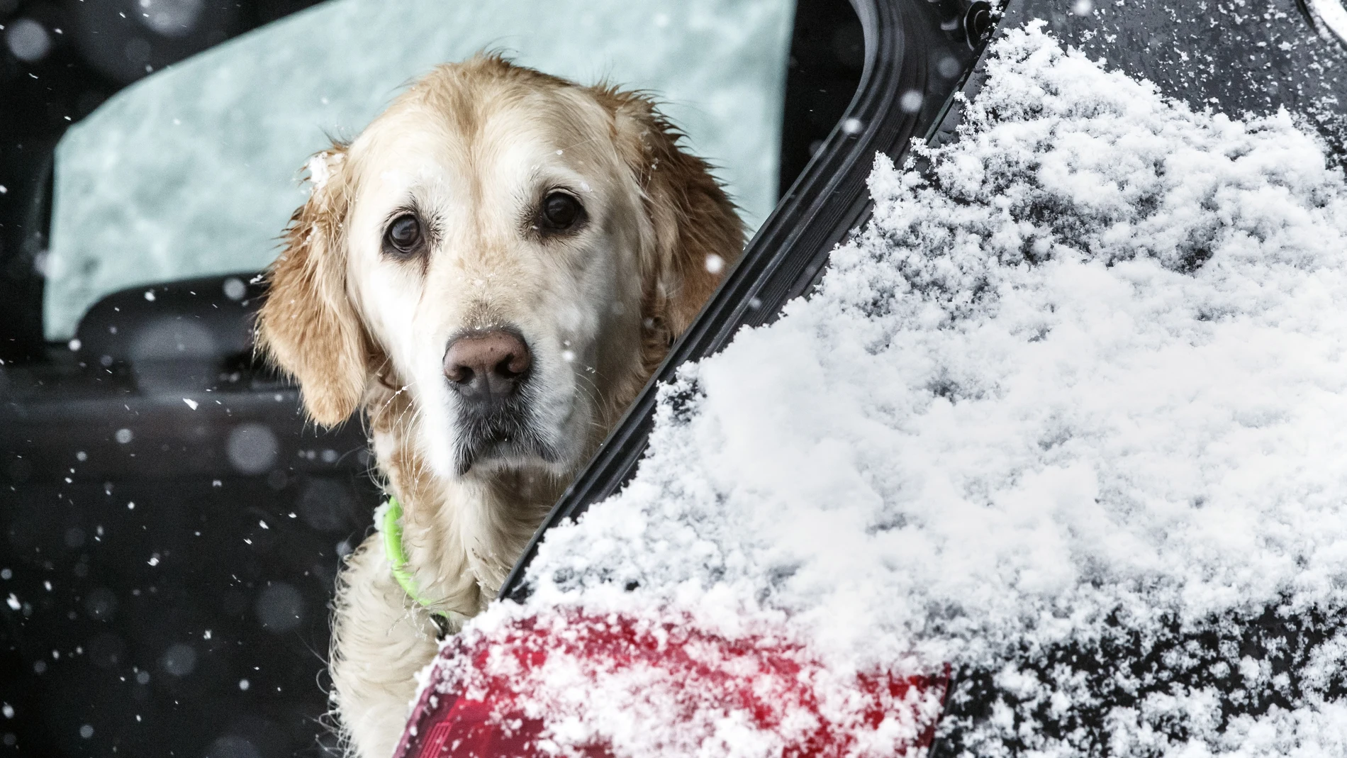 Se esperan nevadas en Cantabria y Euskadi y heladas Mallorca y en el interior peninsular