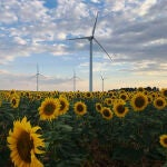 España dispone de los mayores recursos renovables de Europa