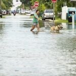 Un perro camina en medio de la riada de agua en Key West (Florida)