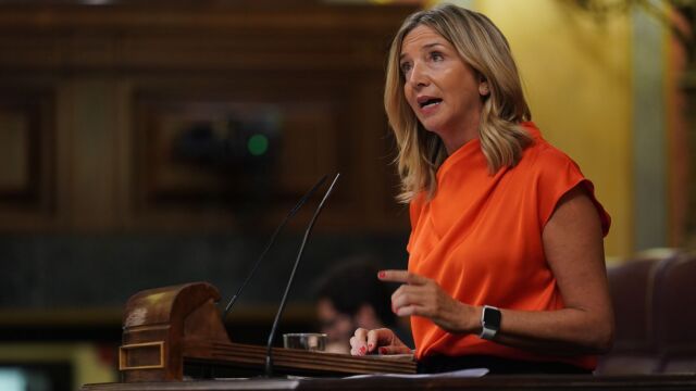 La diputada nacional del PP por Ávila y portavoz de Derechos Sociales del grupo popular en la Cámara Baja, Alicia García, interviene en el Congreso de los Diputados