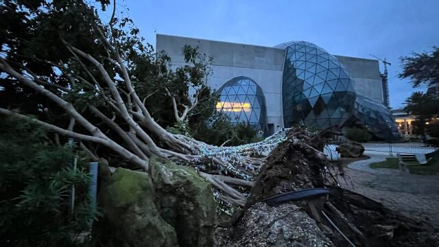 29 de septiembre de 2022, Estados Unidos, San Petersburgo: El llamado "Árbol de los deseos" en el Museo Dalí de San Petersburgo es derribado por los vientos del huracán Ian.