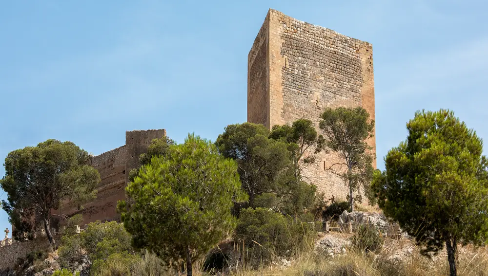 Castillo de la Mola, cerda de Novelda