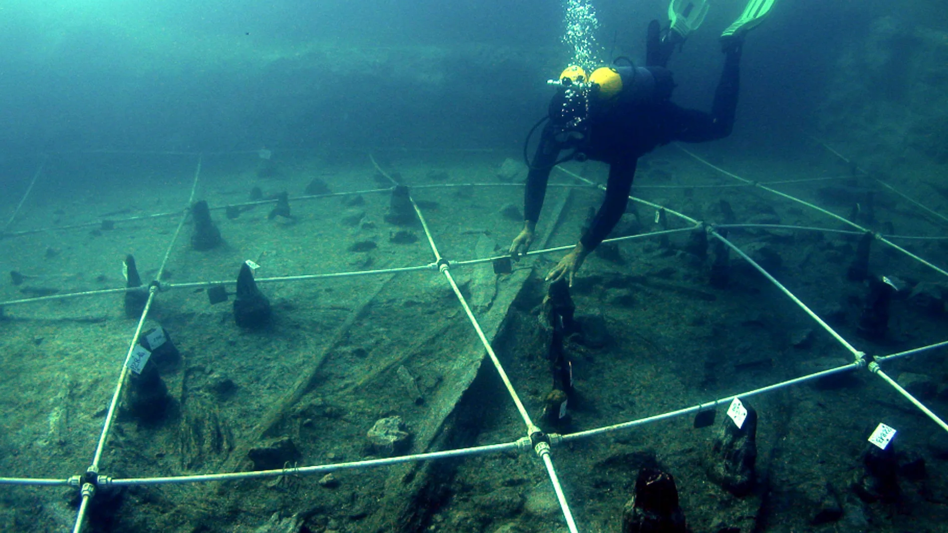 Una imagen de la excavación subacuática donde se han hallado las plantas con efecto estupefaciente