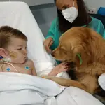 Uno de los niños que se ha beneficiado del proyecto Huellas de Colores, una terapia canina pionera en España implantada en el Hospital Doce de Octubre