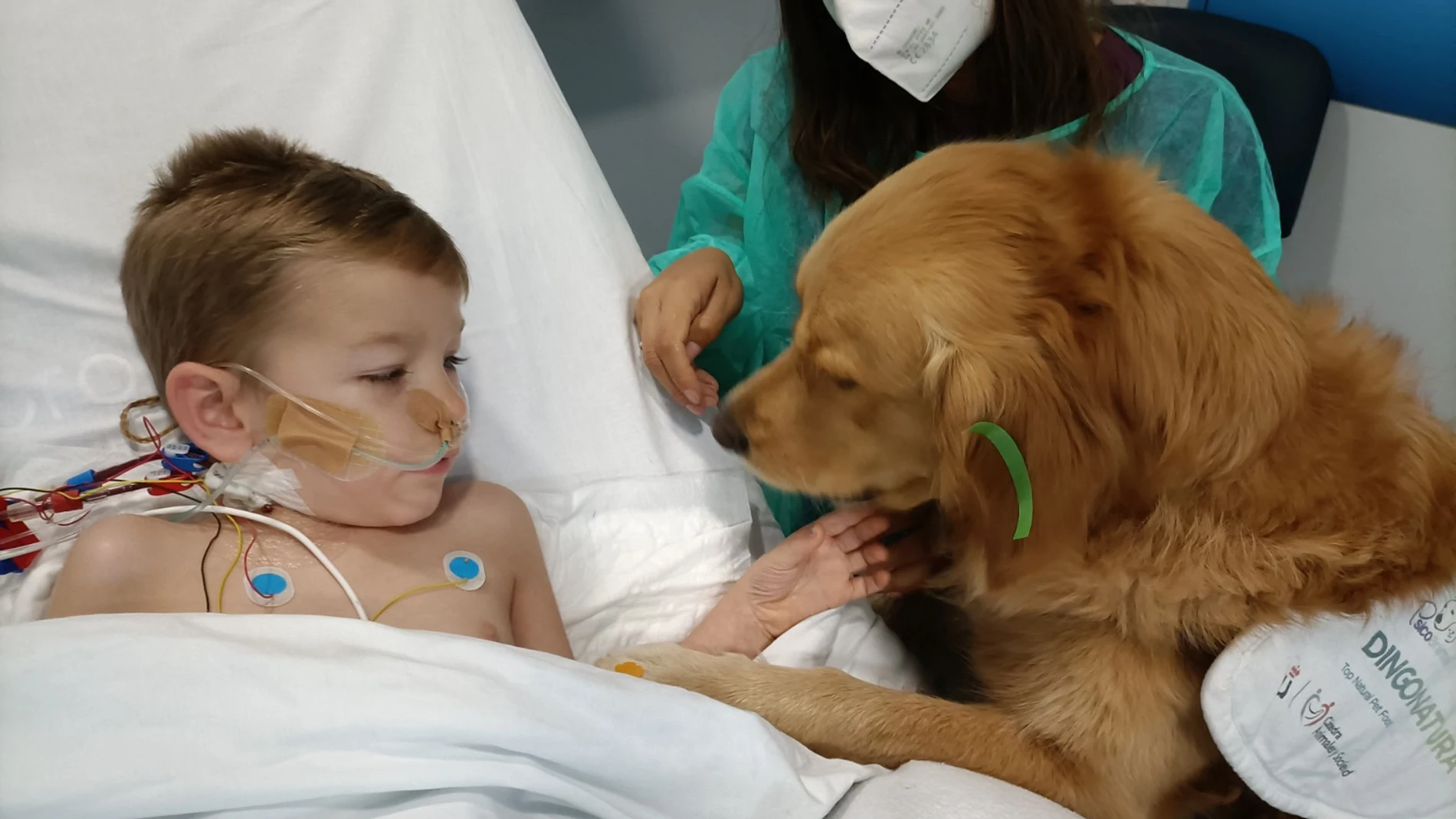 Uno de los niños que se ha beneficiado del proyecto Huellas de Colores, una terapia canina pionera en España implantada en el Hospital Doce de Octubre