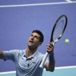 Novak Djokovic se impuso en la final de Tel Aviv al croata Marin Cilic