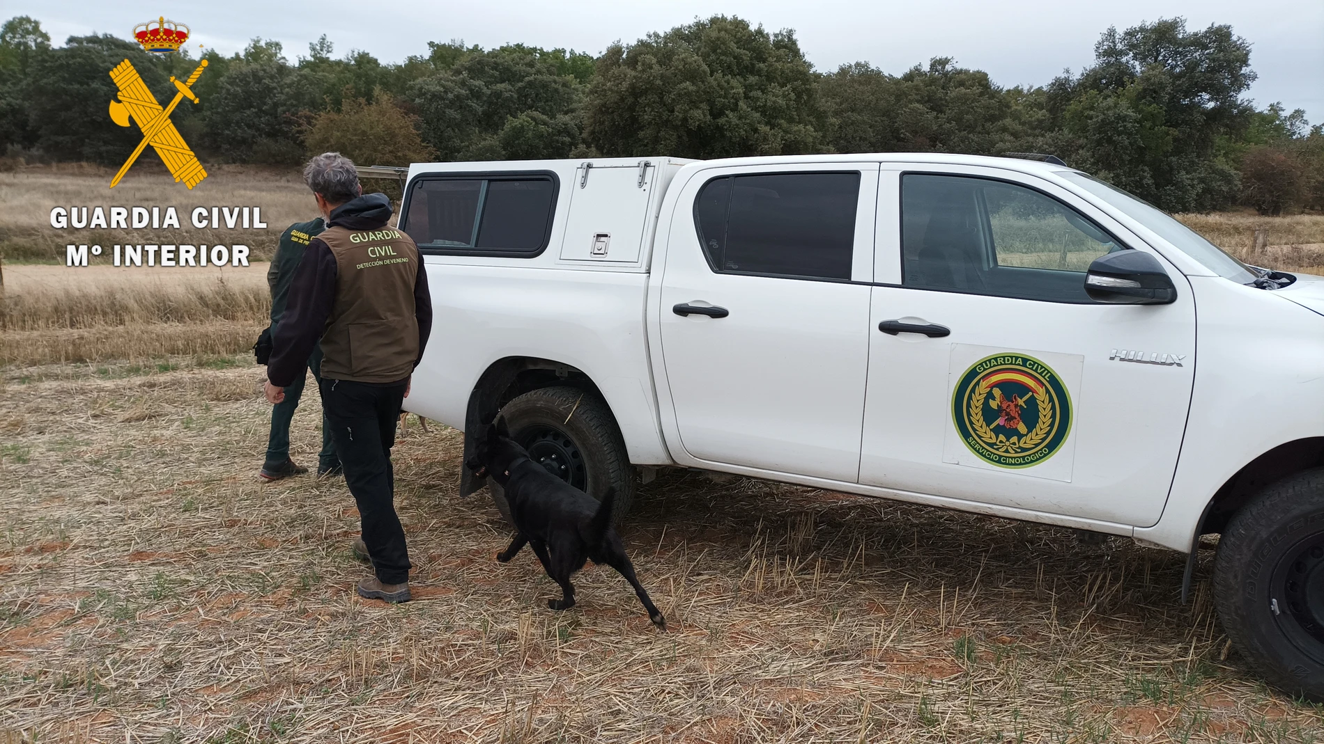 Tres investigados al aparecer muertos por envenenamiento varios animales en una finca de Cantalpino (Salamanca)