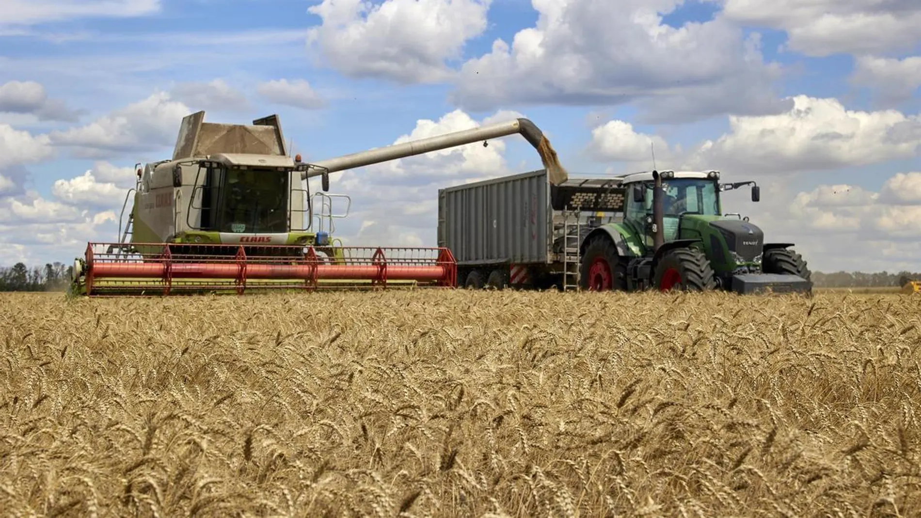 Una cosechadora recoge trigo en un campo en el área de Járkov, en Ucrania, en julio de 2022.