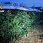Cuatro detenidos tras la aprehensión de 360 kilos de marihuana en Aldeaseca de la Armuña (Salamanca)