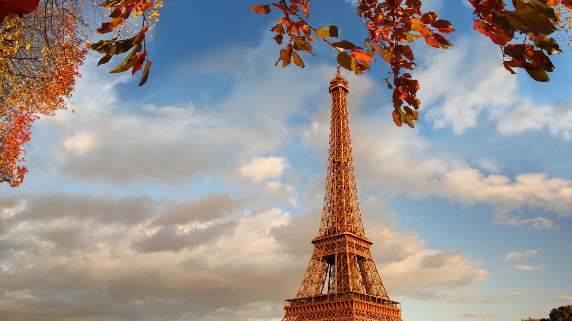 Vista espectacular de la Torre Eiffel en otoño