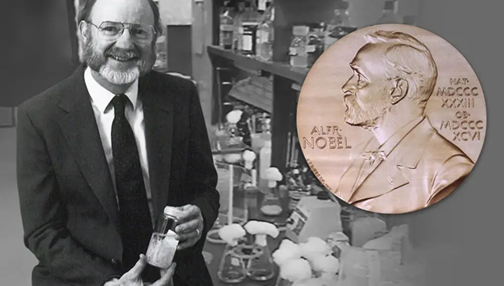 Su descubridor, William C. Campbell, recibió el Nobel en 2015