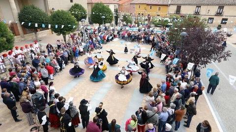 Día de la Provincia de Palencia
