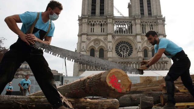 Artesanos que restauran Notre Dame