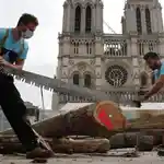 Artesanos que restauran Notre Dame