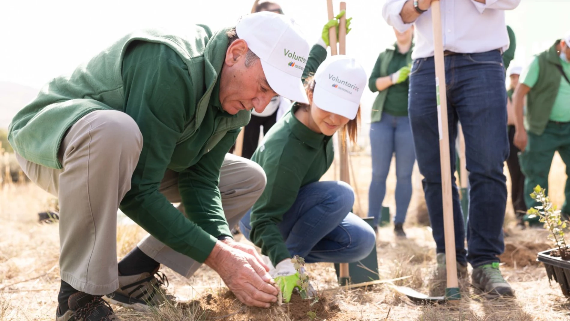 El presidente de Iberdrola, Ignacio Galán, participa en la jornada de reforestación inclusiva desarrollada en Navalacruz (Ávila), zona devastada por las llamas en el verano de 202