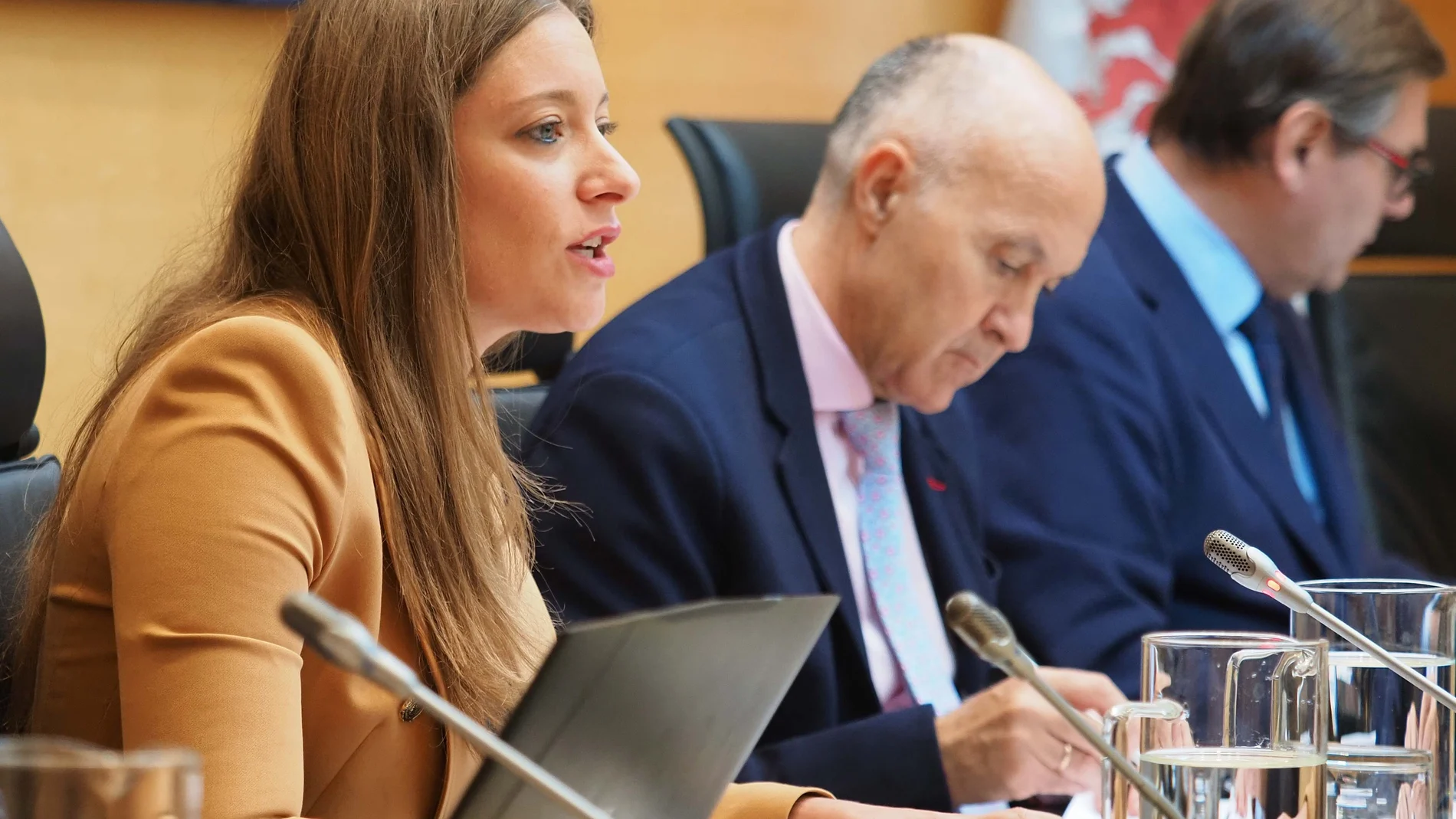 La delegada territorial de la Junta en León, Esther Muñoz, comparece en la Comisión de la Presidencia de las Cortes de Castilla y León