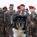 Tropas de la OTAN entrenan este 12 de octubre en Cincu una pueblo de Rumanía