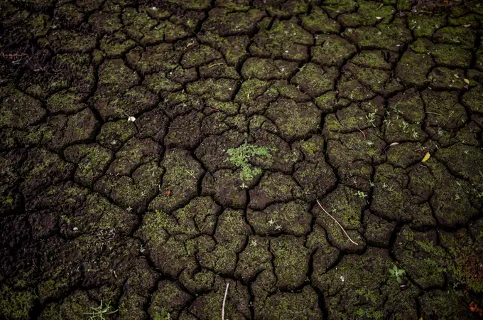 La sequía deja vacías las despensas: “La situación es crítica”